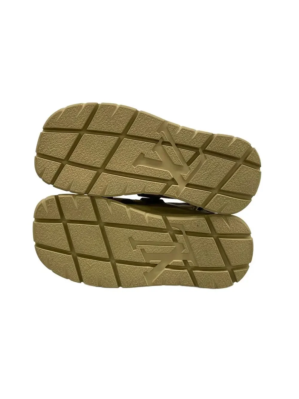 Louis Vuitton Chameleon Sandal 1Ahoat #277596L79B